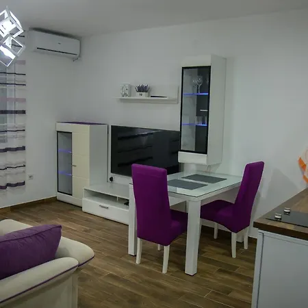 Stasa Apartman Apartment
